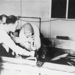 316192_10151446035019157_316731849_n