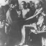 969330_10151446035259157_2046706483_n