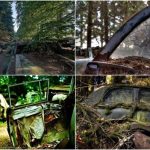 chatillon-car-graveyard2[2]