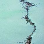 hz-musa-mucizesi-gercek-oldu_10466_b