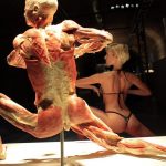 A model mimics a preserved human body on display at an exhibition in Budapest’s Vam Design Center