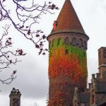 1385497725_644af6b5d8abd65baae869f0a1030d00