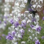 michelle-brand_bottle[1]