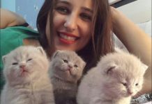 “Sevimli heyvanım və mən” müsabiqəsinin nəticələri