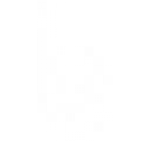 Bildirchin-logo-monochrome