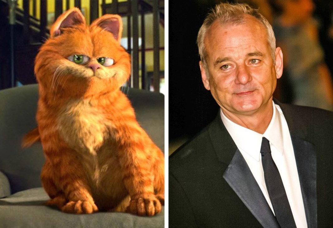 Гарфилд уходит. Гарфилд диск. Гарфилд 2 история двух кошечек. Гарфилд 2 двд диска. Dvd гарфилд 2004.