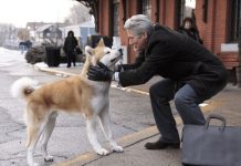 Heyvanların filmlərdəki möhtəşəm performansı