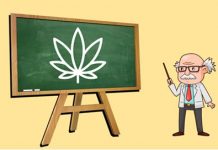 Dünya universitetlərindəki ən qəribə 10 ixtisas