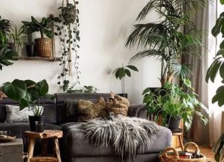 Sağlamlığa faydası olan 10 ev bitkisi saglamliga-faydasi-olan-10-bitki