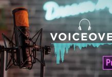 american british turkish russian voice over low price