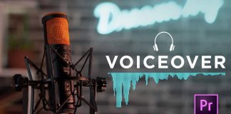 american british turkish russian voice over low price